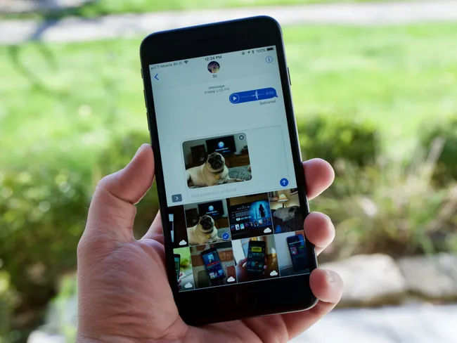 ലൈവ് ഫോട്ടോ ഫീച്ചറുമായി വാട്‌സ്ആപ്പ്